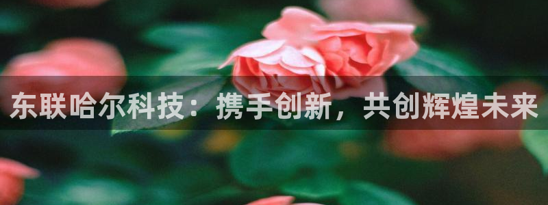 恒行2冯74OOO5