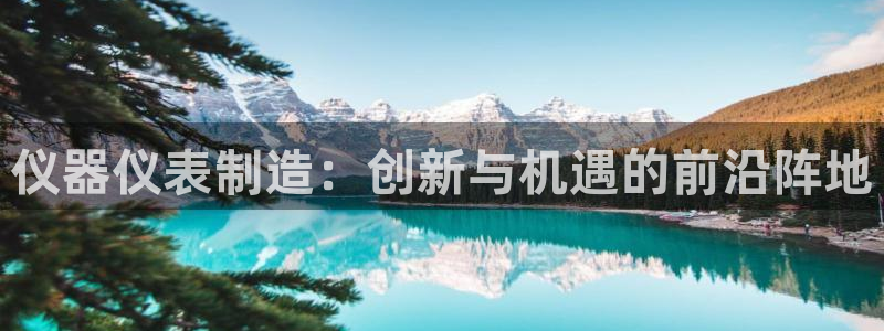 恒行娱乐陈74OOO5：仪器仪表制造：创新与机遇的前沿阵地