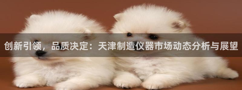 恒行娱乐度74ooo5聘霖：创新引领，品质决定：天津制造仪器