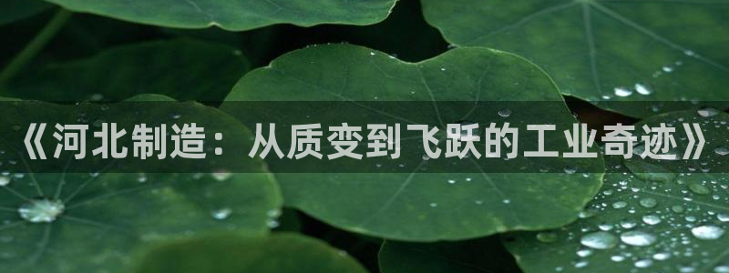 恒行娱乐蒋74OOO5