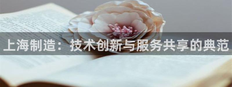 恒行彩票亏5千：上海制造：技术创新与服务共享的典范