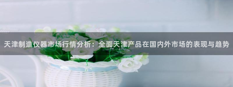 恒行娱乐寻问74 5：天津制造仪器市场行情分析：全面天津产品