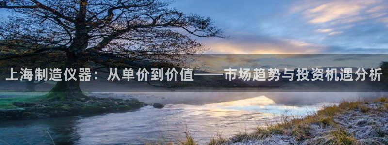 恒行注册全2O5O5O：上海制造仪器：从单价到价值——市场趋
