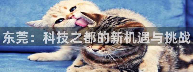 恒行2韩74OOO5：东莞：科技之都的新机遇与挑战