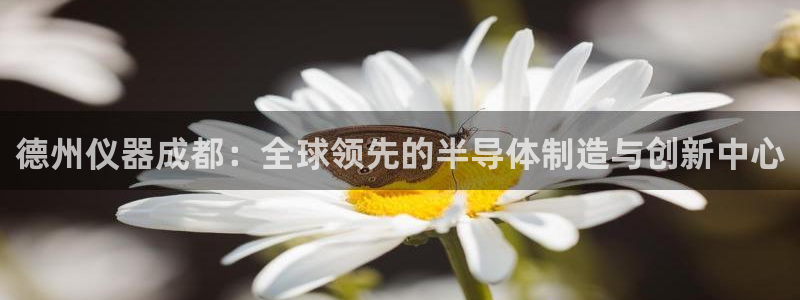 恒行5娱乐：德州仪器成都：全球领先的半导体制造与创新中心