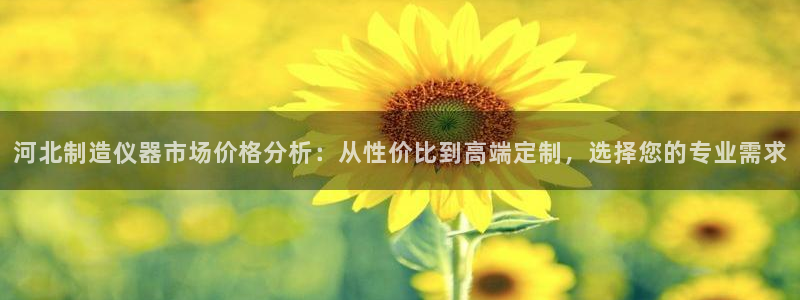 恒行娱乐登录信用 74ooo5：河北制造仪器市场价格分析：从