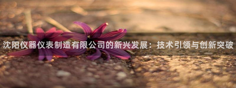 恒行娱乐招收点赞5ll533主管：沈阳仪器仪表制造有限公司的