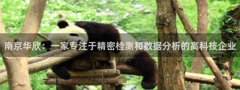 恒行娱乐热74ooo5主宰：南京华欣：一家专注于精密检测和数