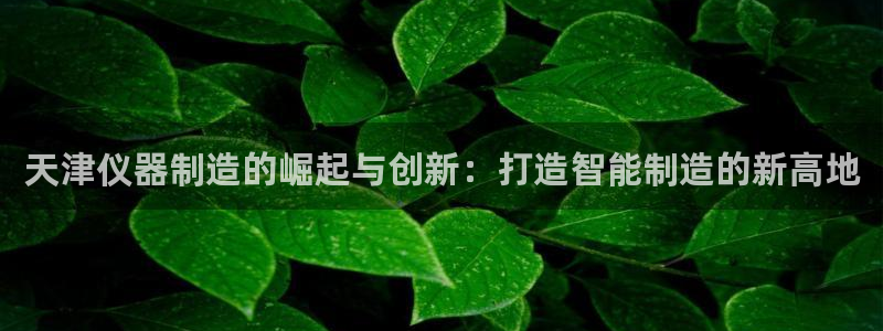 恒行娱乐度74ooo5聘霖：天津仪器制造的崛起与创新：打造智