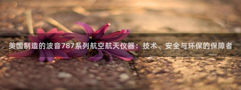 恒行开户娱乐6ll5l特惠：美国制造的波音787系列航空航天