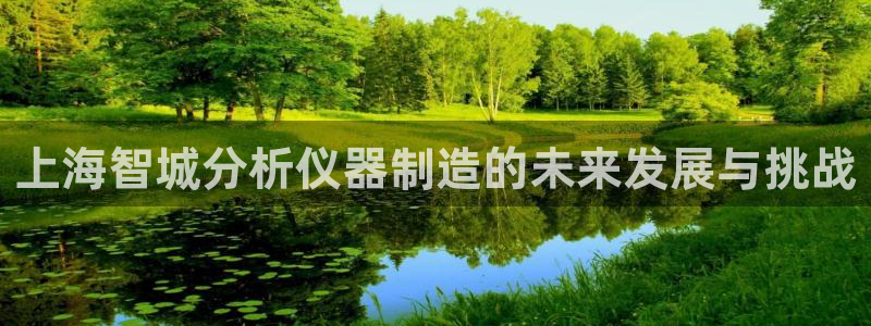 恒行2蒋74OOO5：上海智城分析仪器制造的未来发展与挑战