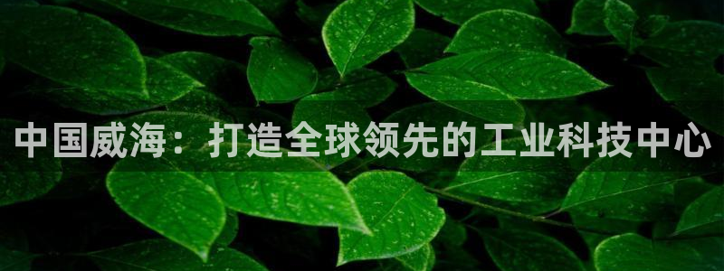 恒行娱乐度74ooo5聘霖：中国威海：打造全球领先的工业科技