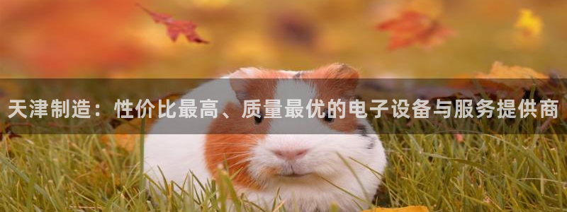 恒行登录老大6ll5l典型：天津制造：性价比最高、质量最优的