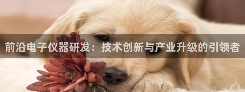 恒行娱乐蒋74OOO5：前沿电子仪器研发：技术创新与产业升级