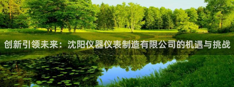 恒行主管总代6ll5l周至：创新引领未来：沈阳仪器仪表制造有