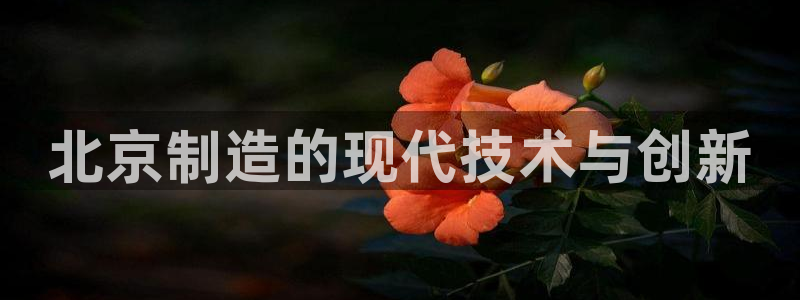 恒行娱乐蒋74OOO5：北京制造的现代技术与创新