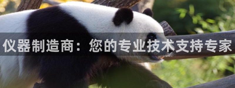 恒行娱乐景74ooo5诿抢：仪器制造商：您的专业技术支持专家