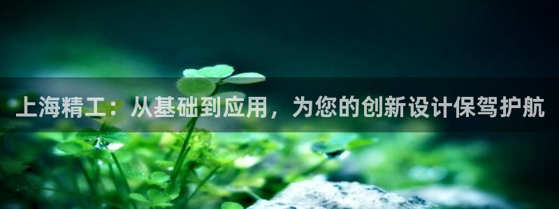 恒行娱乐鸟74ooo5判官：上海精工：从基础到应用，为您的创