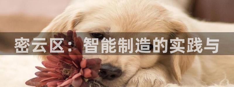 恒行娱乐5ll533主管正直：密云区：智能制造的实践与