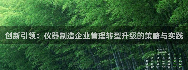 恒行娱乐5ll533主管优雅：创新引领：仪器制造企业管理转型