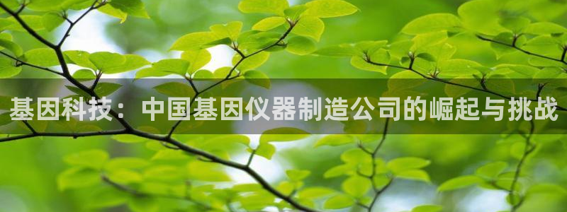 恒指5行情 如来再我心：基因科技：中国基因仪器制造公司的崛起