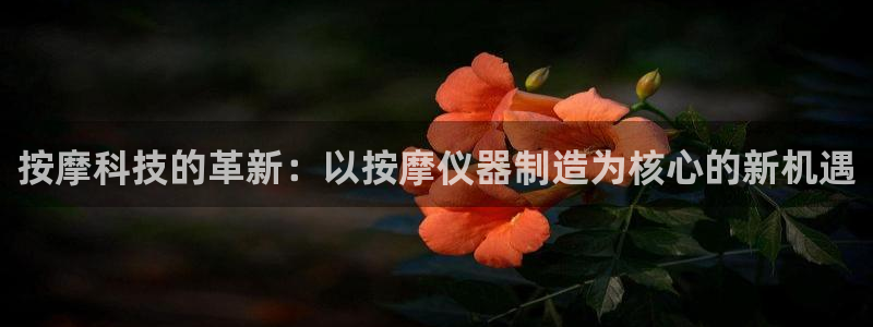 恒行开户全2O5o5O：按摩科技的革新：以按摩仪器制造为核心