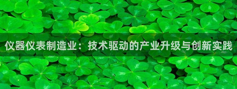 恒行娱乐5ll533主管耐心：仪器仪表制造业：技术驱动的产业