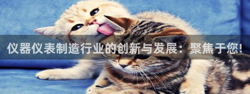 恒行2沈74OOO5：仪器仪表制造行业的创新与发展：聚焦于您