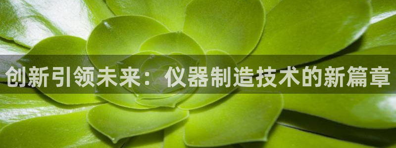 恒行2沈74OOO5：创新引领未来：仪器制造技术的新篇章