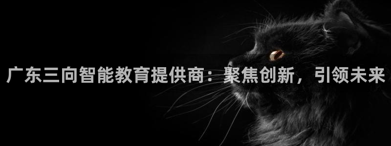 恒在5行中代表什么数字：广东三向智能教育提供商：聚焦创新，引