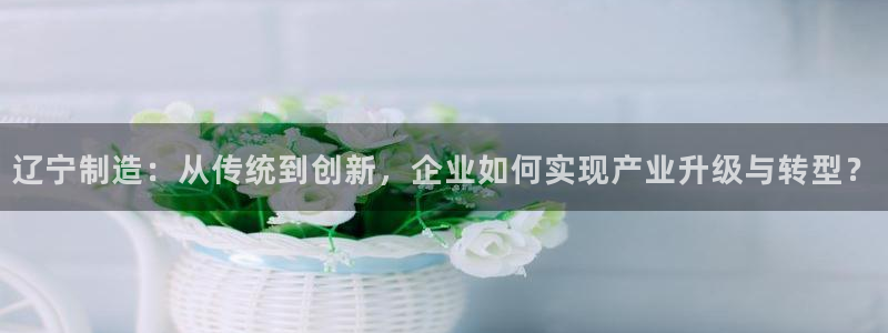 恒行娱乐河沂74ooo5程：辽宁制造：从传统到创新，企业如何