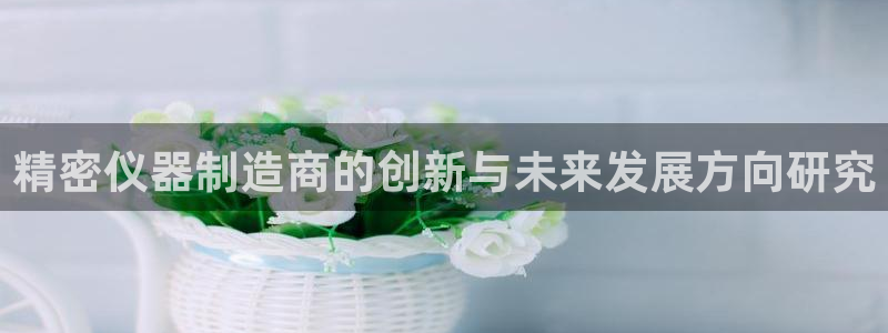 恒行登录老大6ll5l典型：精密仪器制造商的创新与未来发展方