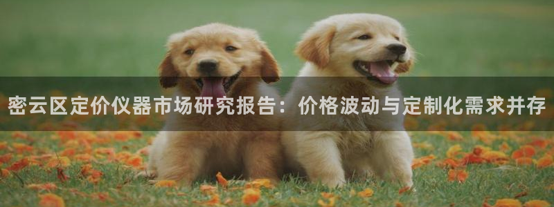 恒行娱乐蒋74OOO5：密云区定价仪器市场研究报告：价格波动