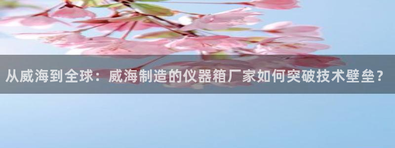 恒行娱乐度74ooo5聘霖：从威海到全球：威海制造的仪器箱厂