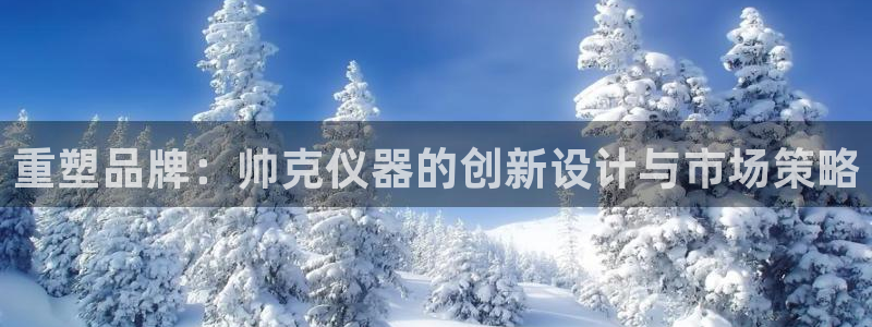 恒行2蒋74OOO5：重塑品牌：帅克仪器的创新设计与市场策略