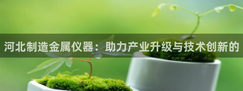 恒行登录老大6ll5l典型：河北制造金属仪器：助力产业升级与