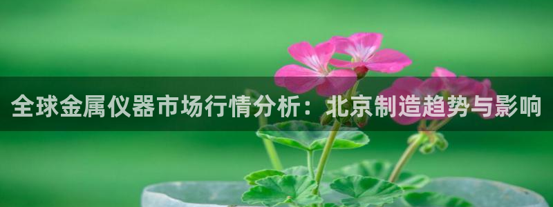恒行2吕74OOO5：全球金属仪器市场行情分析：北京制造趋势