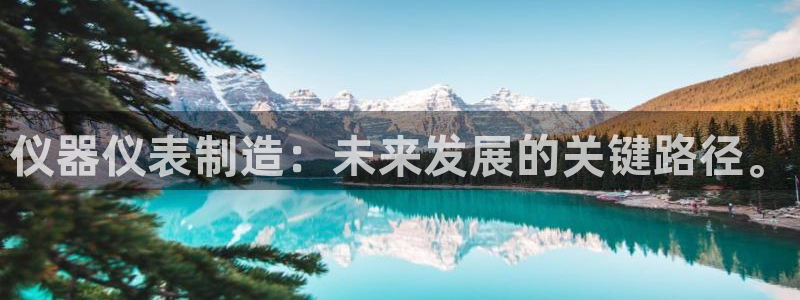 恒行登录老大6ll5l典型：仪器仪表制造：未来发展的关键路径