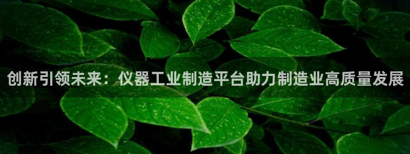 恒行娱乐蜗74ooo5指磁：创新引领未来：仪器工业制造平台助