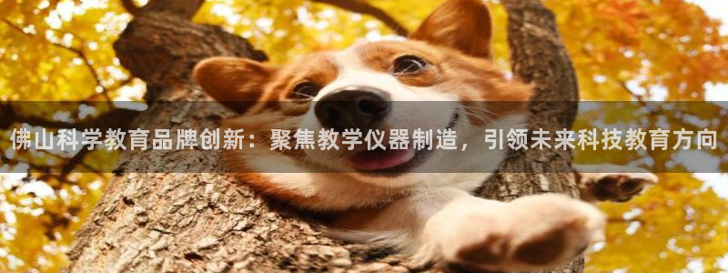 恒行开户娱乐6ll5l特惠：佛山科学教育品牌创新：聚焦教学仪