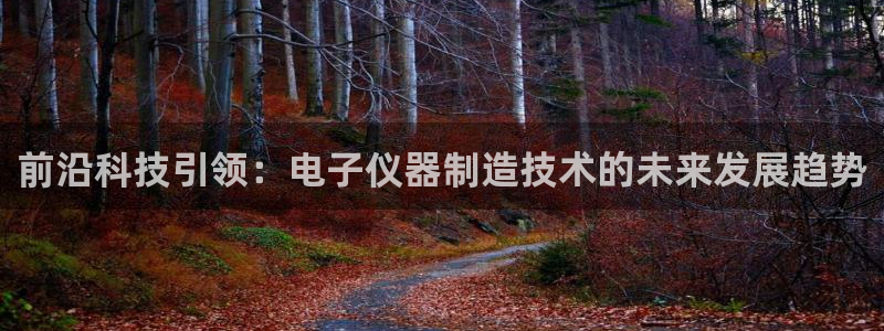 恒行2冯74OOO5：前沿科技引领：电子仪器制造技术的未来发