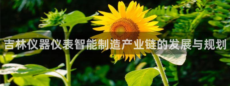 恒行2吴74OOO5：吉林仪器仪表智能制造产业链的发展与规划