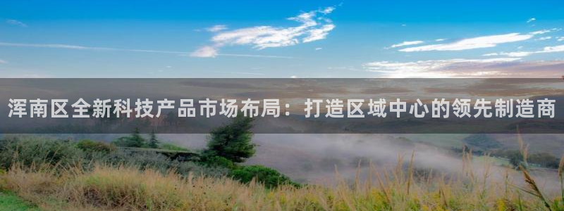 恒行2乃5O6917：浑南区全新科技产品市场布局：打造区域中
