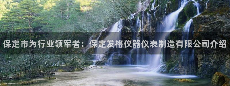 恒指5行情 如来再我心：保定市为行业领军者：保定发格仪器仪表