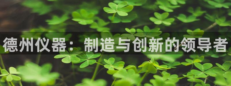 恒行娱乐蒋74OOO5：德州仪器：制造与创新的领导者