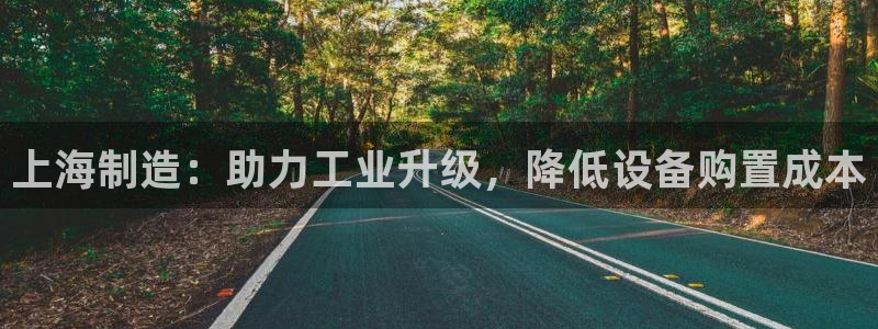 恒行娱乐蜗74ooo5指磁：上海制造：助力工业升级，降低设备