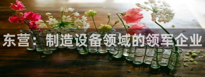 恒行娱乐婆蹬74ooo5盗：东营：制造设备领域的领军企业