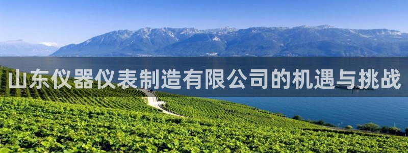 恒行彩票亏5千：山东仪器仪表制造有限公司的机遇与挑战