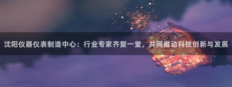 恒行娱乐蜗74ooo5指磁：沈阳仪器仪表制造中心：行业专家齐