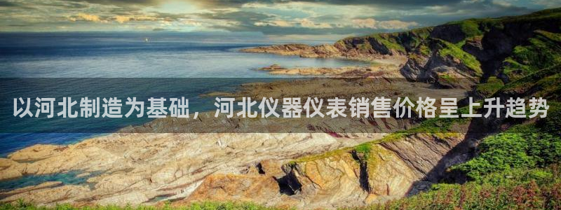 恒行2朱74OOO5：以河北制造为基础，河北仪器仪表销售价格